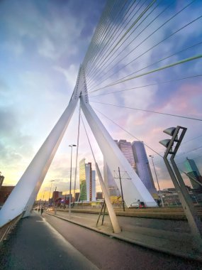 Roterdam şehri, Hollanda. Limanı ve Erasmus Köprüsü, Rotterdam Skylines ile mimari başkenti.