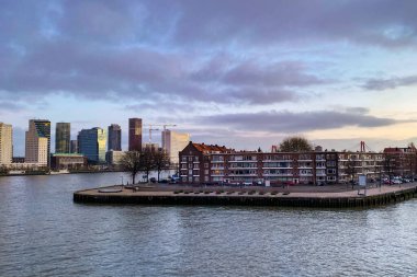 Roterdam şehri, Hollanda. Limanı ve Erasmus Köprüsü, Rotterdam Skylines ile mimari başkenti.