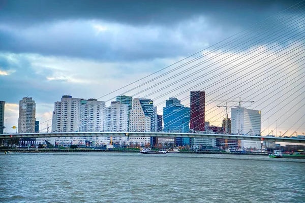 Ciudad Roterdam Holanda Capital Arquitectónica Con Puerto Puente Erasmus Rotterdam —  Fotos de Stock