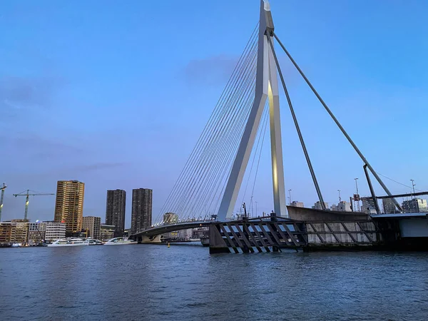 オランダのロッテルダム市 港とエラスムス橋 ロッテルダムスカイラインと建築の首都 — ストック写真