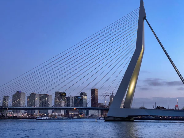 Роттердам Нидерланды Архитектурная Столица Гаванью Мостом Эрабли Роттердам Skylines — стоковое фото