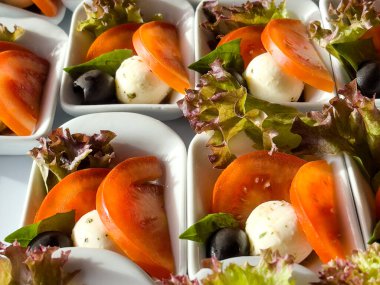 Domatesli mini meze salatası, mozzarella, catering ve misafir servisi.