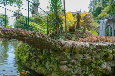 Botanik Bahçesi Monte, Funchal, Madeira Adası, Portekiz