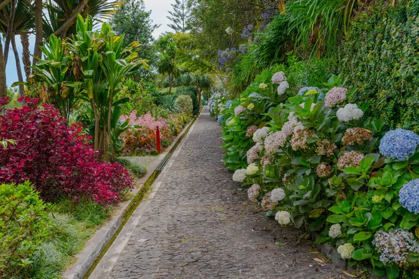 Botaniska Trädgården Monte Funchal Madeira Island Portugal — Stockfoto