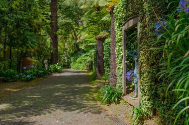 Botanik Bahçesi Monte, Funchal, Madeira Adası, Portekiz