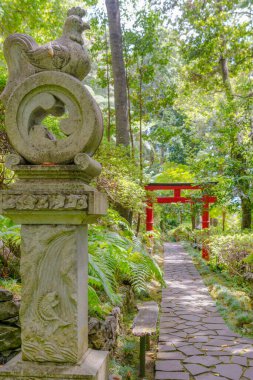 Botanik Bahçesi Monte, Funchal, Madeira Adası, Portekiz