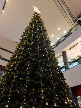 Noel ağacı, süslenmiş Noel ağacı, Noel