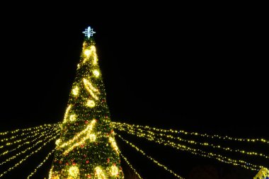 Aydınlatılmış Noel ağacı gece dışarıda, Noel 'de