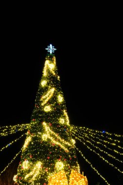 Aydınlatılmış Noel ağacı gece dışarıda, Noel 'de