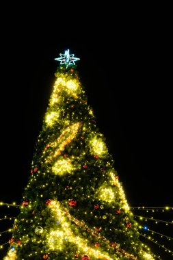 Aydınlatılmış Noel ağacı gece dışarıda, Noel 'de
