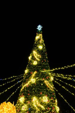 Aydınlatılmış Noel ağacı gece dışarıda, Noel 'de