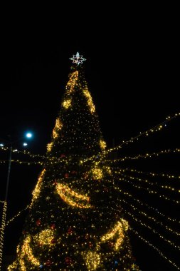 Aydınlatılmış Noel ağacı gece dışarıda, Noel 'de