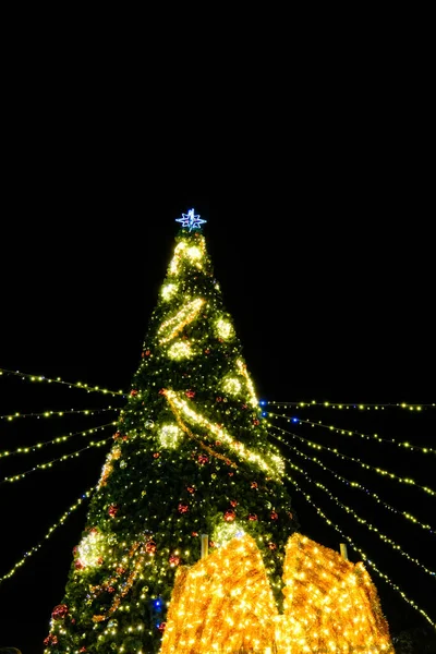 Árbol Navidad Iluminado Por Noche Afuera Navidad —  Fotos de Stock
