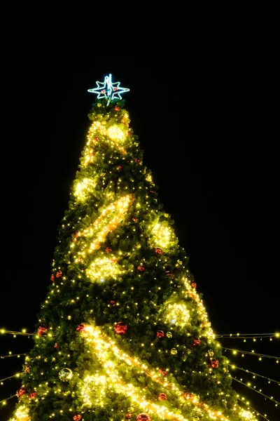 Megvilágított Karácsonyfa Éjjel Odakint Karácsony — Stock Fotó