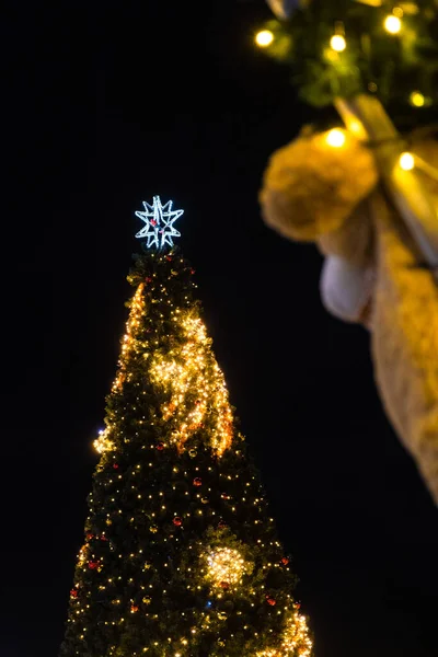 Oświetlona Choinka Nocą Zewnątrz Boże Narodzenie — Zdjęcie stockowe
