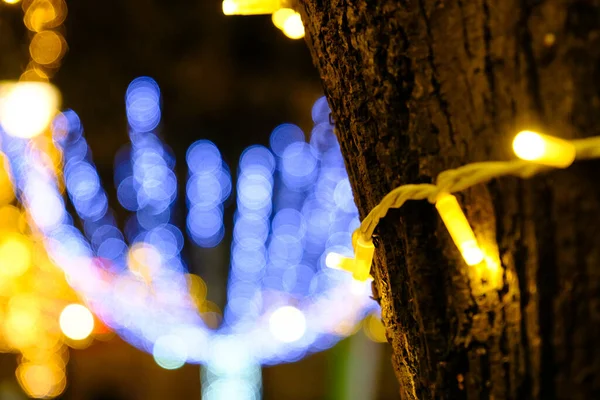 Oświetlone Drzewa Ozdobione Boże Narodzenie Rozproszone Światła — Zdjęcie stockowe