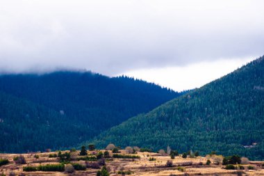 Bulgaristan 'ın Rodop dağlarındaki muhteşem sonbahar halısının muhteşem manzarası