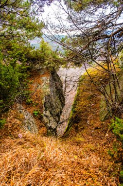 Bulgaristan 'ın Rodop dağlarındaki muhteşem sonbahar halısının muhteşem manzarası