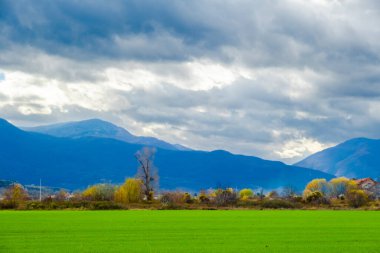 Bulgaristan 'ın Rodop dağlarındaki muhteşem sonbahar halısının muhteşem manzarası