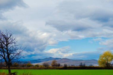 Bulgaristan 'ın Rodop dağlarındaki muhteşem sonbahar halısının muhteşem manzarası