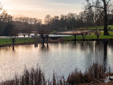 Parktaki ağaçların arkasında gölgeli renkli sonbahar günbatımı