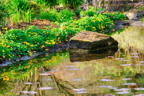 Beautiful pond with flowers in zen garden at springtime