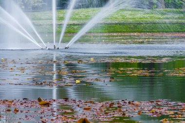 Parktaki gölde güzel bir çeşme. Akıp giden nehirler