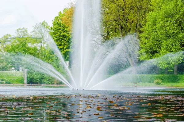 stock image Beautiful fountain in lake at the park. Splashing streams