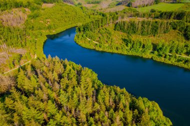 Yeşil yaz ormanı ve mavi göl manzarası.