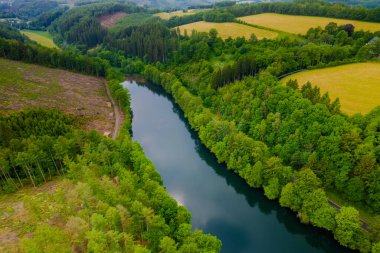 Yeşil yaz ormanı ve mavi nehir manzarası.