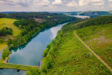 Yeşil yaz ormanı ve mavi nehir manzarası.