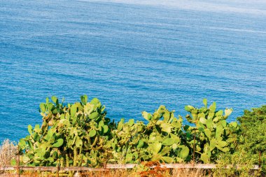 Açık mavi deniz manzarası, doğal manzara, Yunanistan