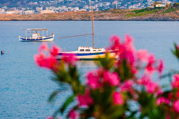 Известный Залив Порт Порто Рафти Бирюзовыми Водами Месогея Аттика Греция — стоковое фото
