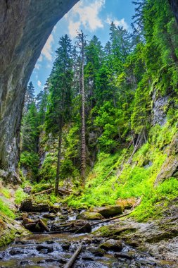 Bulgaristan 'daki Harika Köprüler, Rodop Dağları, doğal olaylar