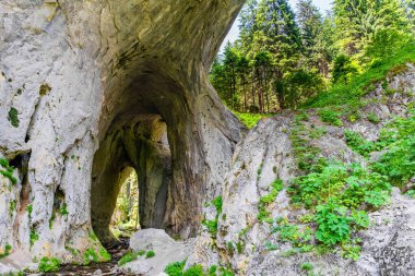Bulgaristan 'daki Harika Köprüler, Rodop Dağları, doğal olaylar