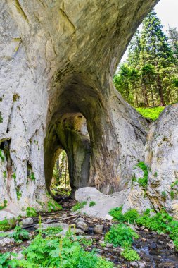 Bulgaristan 'daki Harika Köprüler, Rodop Dağları, doğal olaylar