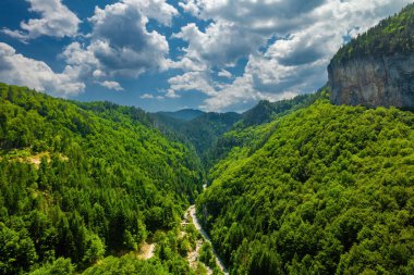 Bulgaristan 'ın rodop dağlarındaki Trigrad vadisi dikey mermer kayalar kanyonu