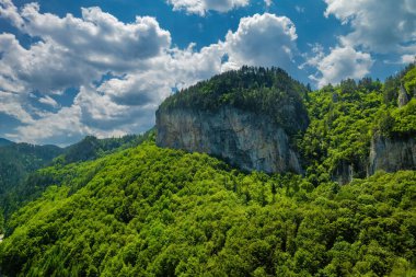 Bulgaristan 'ın rodop dağlarındaki Trigrad vadisi dikey mermer kayalar kanyonu