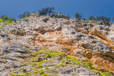 Bulgaristan 'ın rodop dağlarındaki Trigrad vadisi dikey mermer kayalar kanyonu