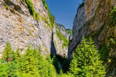Bulgaristan 'ın rodop dağlarındaki Trigrad vadisi dikey mermer kayalar kanyonu