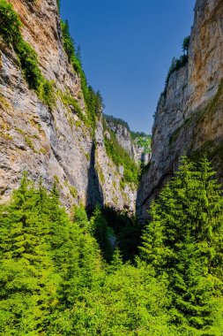 Bulgaristan 'ın rodop dağlarındaki Trigrad vadisi dikey mermer kayalar kanyonu