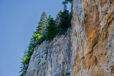 Bulgaristan 'ın rodop dağlarındaki Trigrad vadisi dikey mermer kayalar kanyonu