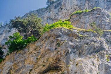 Bulgaristan 'ın rodop dağlarındaki Trigrad vadisi dikey mermer kayalar kanyonu