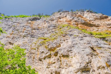 Bulgaristan 'ın rodop dağlarındaki Trigrad vadisi dikey mermer kayalar kanyonu
