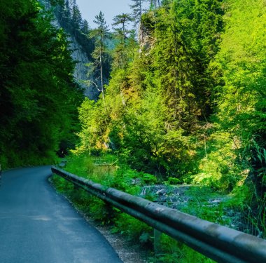 Bulgaristan 'ın rodop dağlarındaki Trigrad vadisi dikey mermer kayalar kanyonu