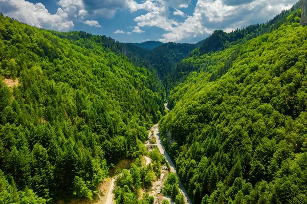 Bulgaristan 'ın rodop dağlarındaki Trigrad vadisi dikey mermer kayalar kanyonu