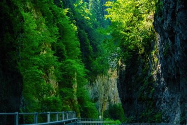 Bulgaristan 'ın rodop dağlarındaki Trigrad vadisi dikey mermer kayalar kanyonu