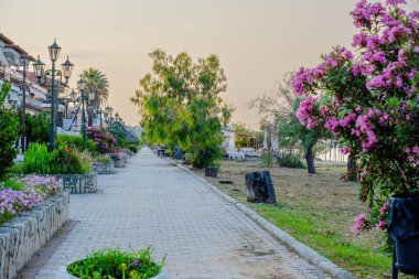 Güzel bir sokak manzarası ve yaz çiçekleri.