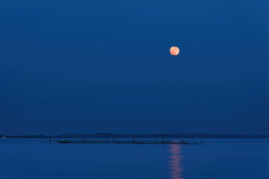 Gece deniz manzarası dolunay ve karanlık gökyüzünde ay ışığı