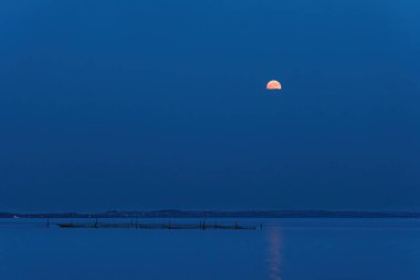 Gece deniz manzarası dolunay ve karanlık gökyüzünde ay ışığı